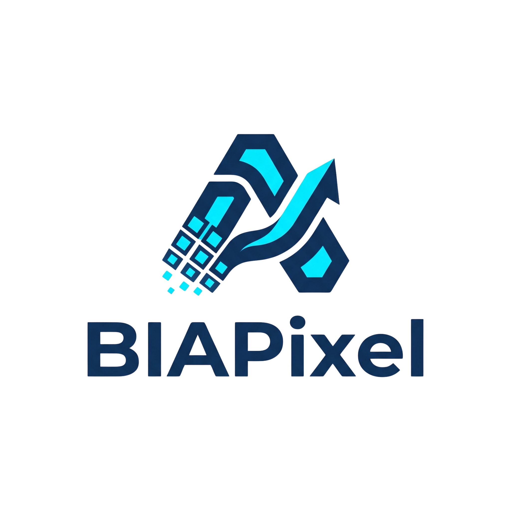 BIAPixel ERP